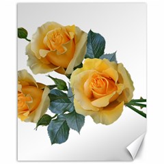 Roses Yellow Flowers Fragrant Canvas 16  X 20  by Pakrebo