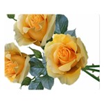 Roses Yellow Flowers Fragrant Double Sided Flano Blanket (Large)  Blanket Back