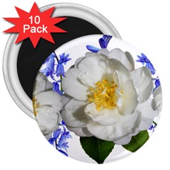 Flowers Camellia Bluebells Fragrant 3  Magnets (10 Pack)  by Pakrebo