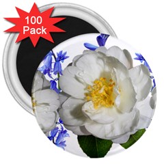 Flowers Camellia Bluebells Fragrant 3  Magnets (100 Pack) by Pakrebo