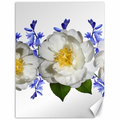 Flowers Camellia Bluebells Fragrant Canvas 18  X 24  by Pakrebo