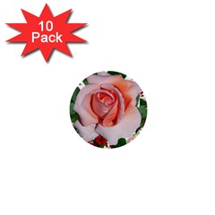 Roses Flowers Berries Arrangement 1  Mini Buttons (10 Pack)  by Pakrebo