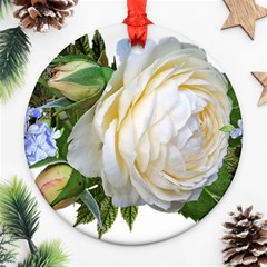 Rose White Flower Plumbago Ornament (round) by Pakrebo