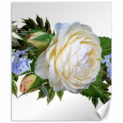 Rose White Flower Plumbago Canvas 8  X 10  by Pakrebo