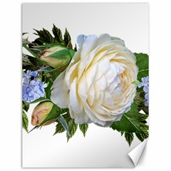 Rose White Flower Plumbago Canvas 12  X 16  by Pakrebo