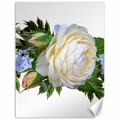 Rose White Flower Plumbago Canvas 18  X 24  by Pakrebo