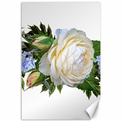 Rose White Flower Plumbago Canvas 24  X 36  by Pakrebo