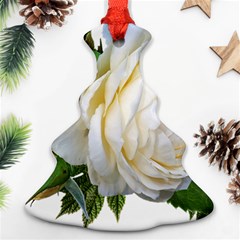 Rose White Flower Plumbago Ornament (christmas Tree) 