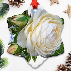 Rose White Flower Plumbago Snowflake Ornament (two Sides) by Pakrebo