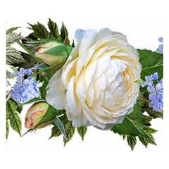 Rose White Flower Plumbago Double Sided Flano Blanket (small)  by Pakrebo