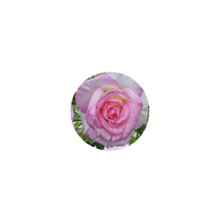 Roses Pink Flowers Perfume Leaves 1  Mini Magnets by Pakrebo