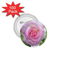 Roses Pink Flowers Perfume Leaves 1 75  Buttons (100 Pack)  by Pakrebo