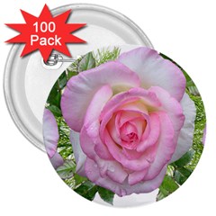 Roses Pink Flowers Perfume Leaves 3  Buttons (100 Pack)  by Pakrebo