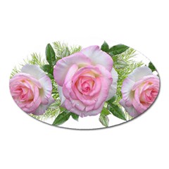 Roses Pink Flowers Perfume Leaves Oval Magnet by Pakrebo