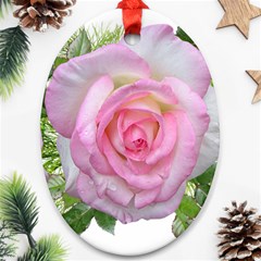 Roses Pink Flowers Perfume Leaves Oval Ornament (two Sides) by Pakrebo