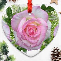 Roses Pink Flowers Perfume Leaves Heart Ornament (two Sides) by Pakrebo