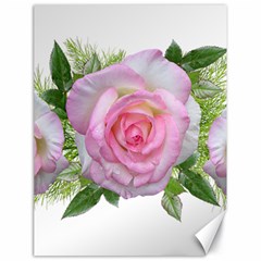 Roses Pink Flowers Perfume Leaves Canvas 18  X 24  by Pakrebo