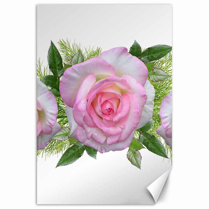 Roses Pink Flowers Perfume Leaves Canvas 20  x 30 