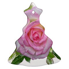 Roses Pink Flowers Perfume Leaves Christmas Tree Ornament (two Sides) by Pakrebo