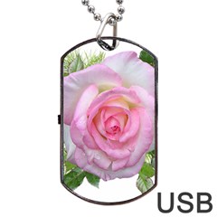 Roses Pink Flowers Perfume Leaves Dog Tag Usb Flash (one Side) by Pakrebo