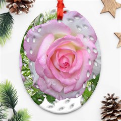 Roses Pink Flowers Perfume Leaves Ornament (oval Filigree)