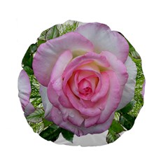 Roses Pink Flowers Perfume Leaves Standard 15  Premium Round Cushions