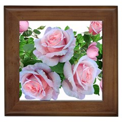 Roses Pink Flowers Leaves Framed Tile by Pakrebo