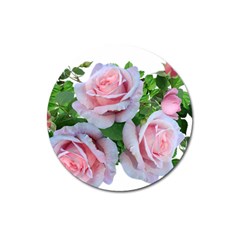 Roses Pink Flowers Leaves Magnet 3  (round) by Pakrebo