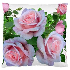 Roses Pink Flowers Leaves Large Cushion Case (one Side) by Pakrebo