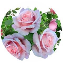 Roses Pink Flowers Leaves Wooden Bottle Opener (round)