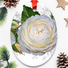 Flowers Roses White Fragrant Ornament (oval) by Pakrebo