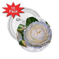 Flowers Roses White Fragrant 2 25  Buttons (10 Pack)  by Pakrebo