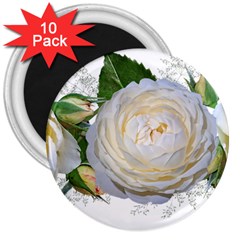 Flowers Roses White Fragrant 3  Magnets (10 Pack)  by Pakrebo