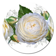 Flowers Roses White Fragrant Magnet 5  (round) by Pakrebo