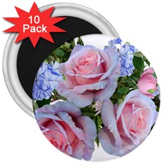 Roses Plumbago Flowers Fragrant 3  Magnets (10 Pack)  by Pakrebo