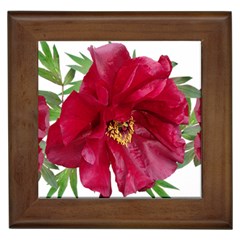 Flowers Red Peony Arrangement Framed Tile by Pakrebo