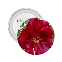 Flowers Red Peony Arrangement 2 25  Buttons by Pakrebo