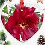 Flowers Red Peony Arrangement Ornament (Heart) Front