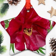 Flowers Red Peony Arrangement Ornament (star)