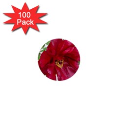 Flowers Red Peony Arrangement 1  Mini Buttons (100 Pack)  by Pakrebo