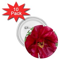 Flowers Red Peony Arrangement 1 75  Buttons (10 Pack) by Pakrebo