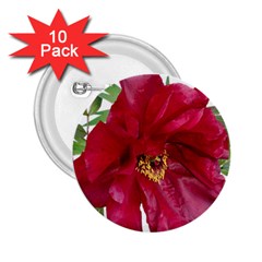 Flowers Red Peony Arrangement 2 25  Buttons (10 Pack)  by Pakrebo