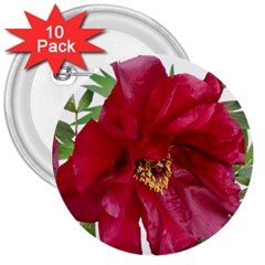 Flowers Red Peony Arrangement 3  Buttons (10 Pack)  by Pakrebo