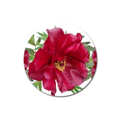 Flowers Red Peony Arrangement Magnet 3  (round) by Pakrebo