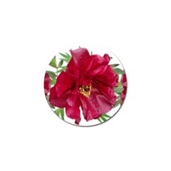 Flowers Red Peony Arrangement Golf Ball Marker (4 Pack) by Pakrebo