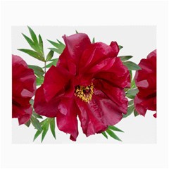 Flowers Red Peony Arrangement Small Glasses Cloth by Pakrebo