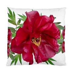 Flowers Red Peony Arrangement Standard Cushion Case (one Side) by Pakrebo