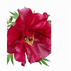 Flowers Red Peony Arrangement Small Garden Flag (two Sides) by Pakrebo