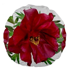 Flowers Red Peony Arrangement Large 18  Premium Flano Round Cushions by Pakrebo