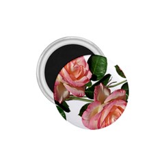 Roses Flowers Perfume Garden 1 75  Magnets by Pakrebo